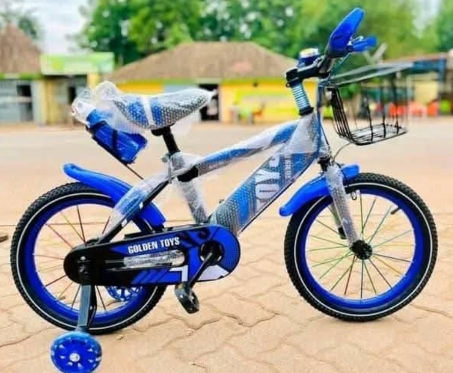 Miniature Vélo 12 pouces de 2 ans à 5 ans 