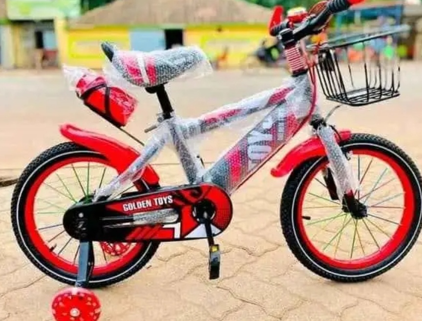 Miniature Vélo 12 pouces de 2 ans à 5 ans 