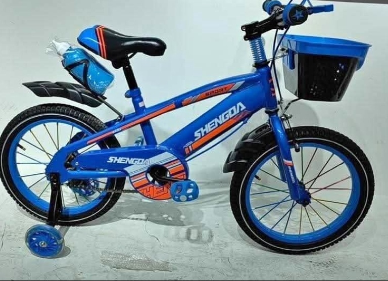 Miniature Vélo 12 pouces de 2 ans à 5 ans 