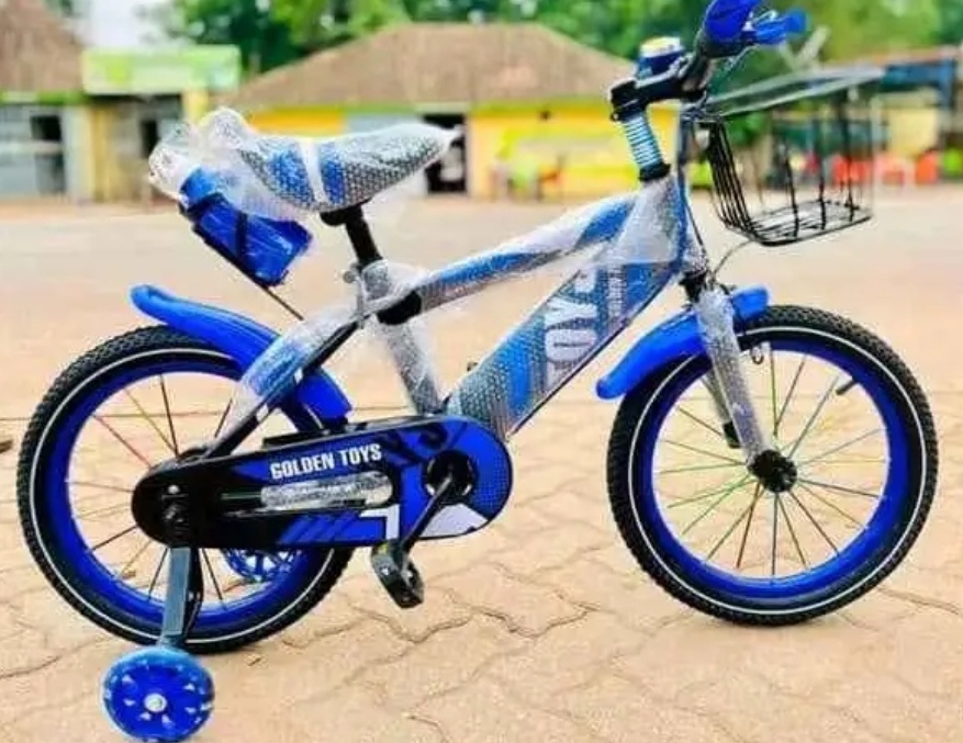 Miniature Vélo 12 pouces de 2 ans à 5 ans 